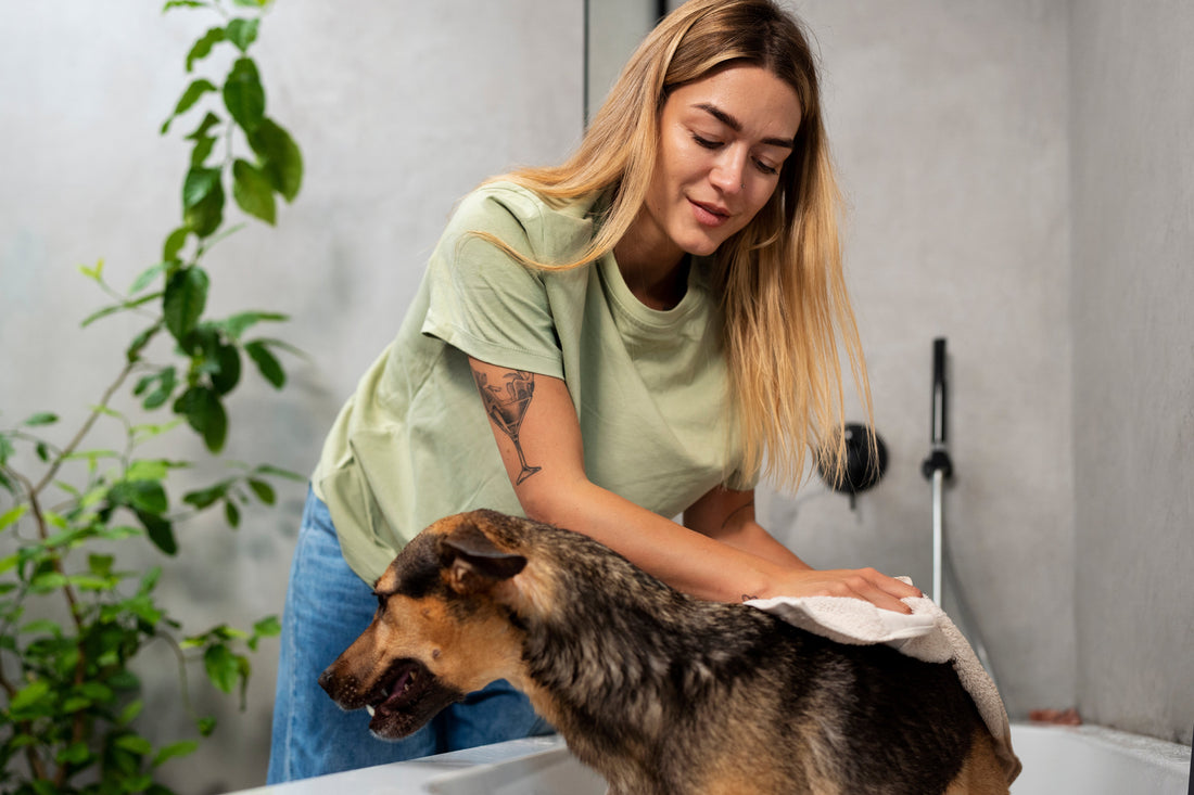 Keep Your Pets Happy & Healthy with Proper Grooming